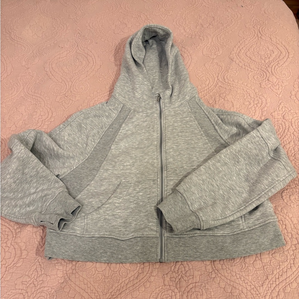 Love Tree Cropped Gray Zip-Up Hoodie
